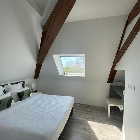 Aparthotel Les Rives Des Habsbourg Ensisheim Exterior foto