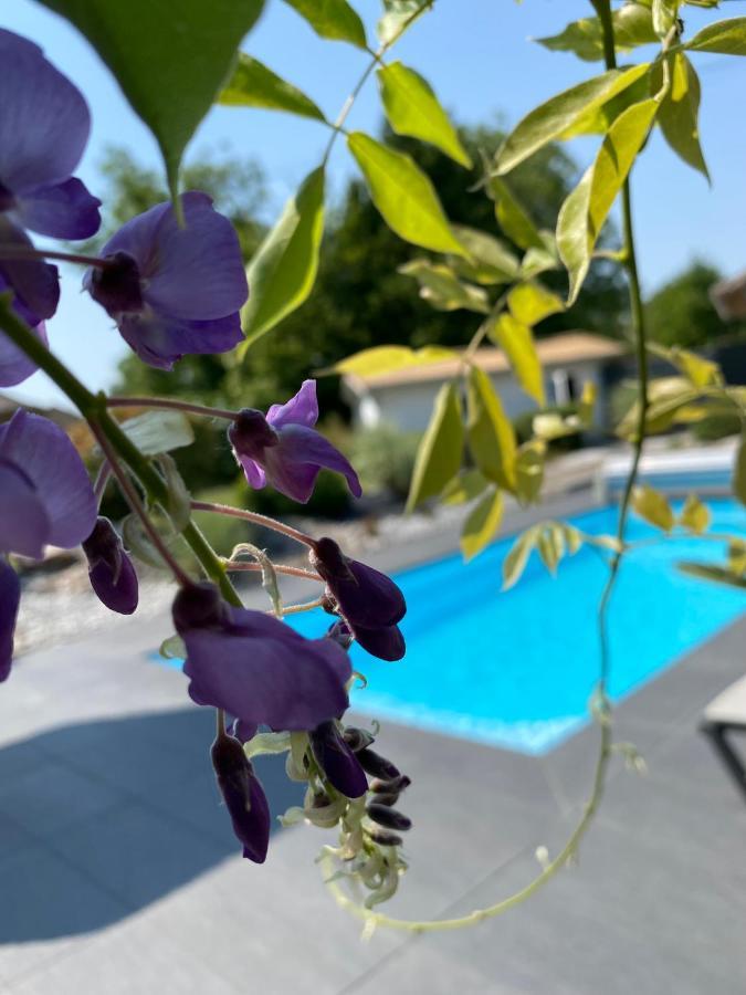 Aparthotel Les Rives Des Habsbourg Ensisheim Exterior foto