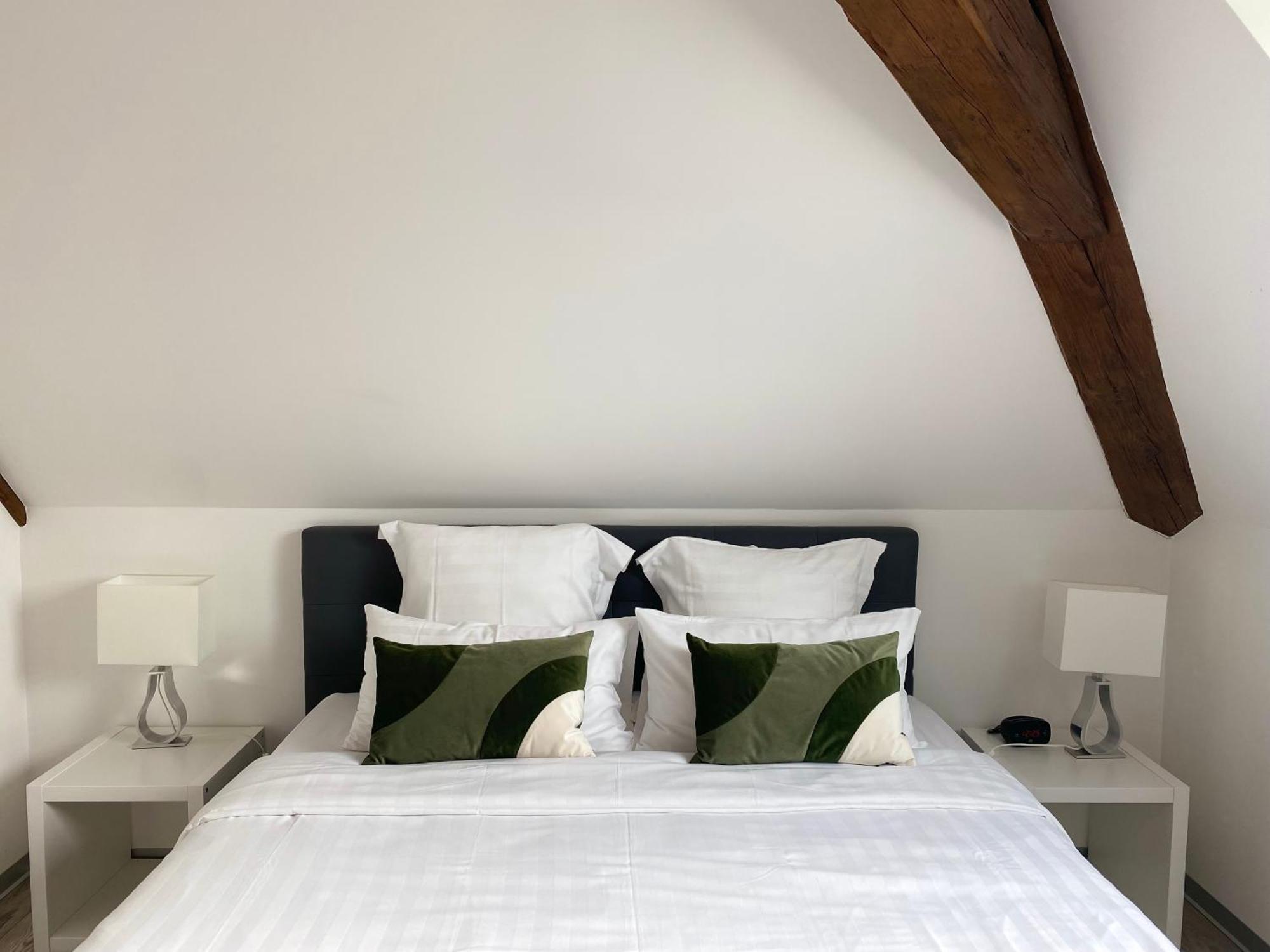 Aparthotel Les Rives Des Habsbourg Ensisheim Exterior foto